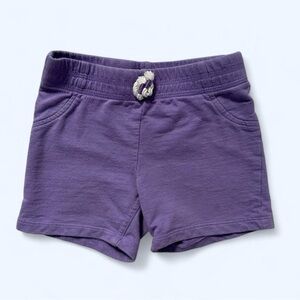 Jumping Beans Girls Shorts in Purple Size 3T